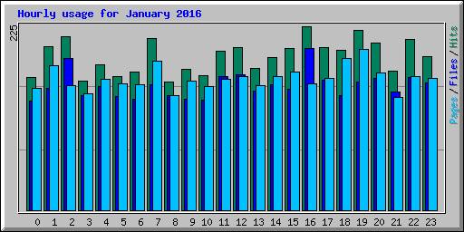 Hourly usage for January 2016