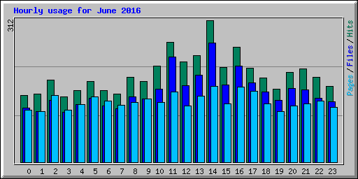 Hourly usage for June 2016